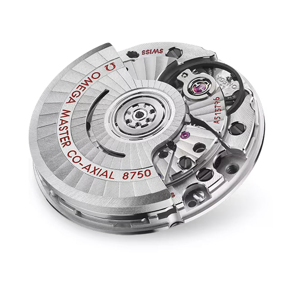 Seamaster Aqua Terra 150M Two-Tone 30mm - Silver on Bracelet